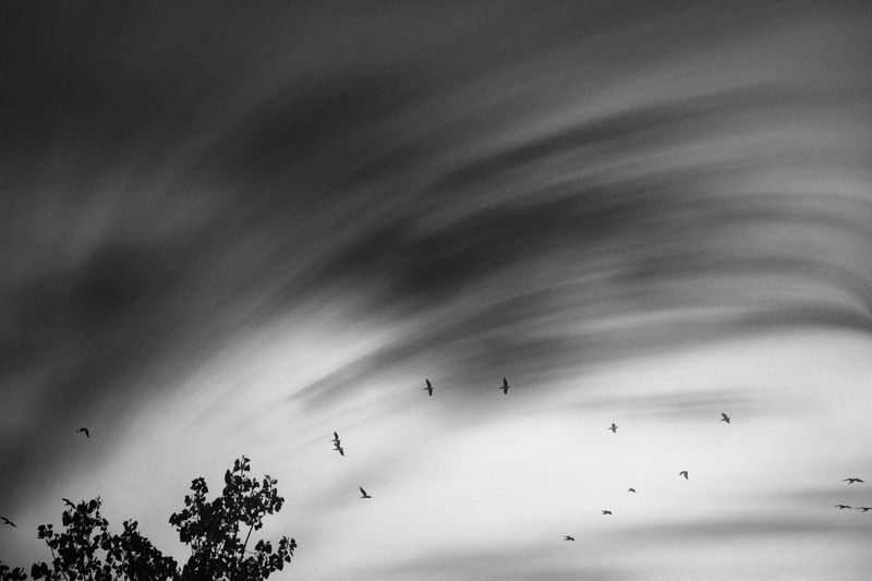 свободаphoto preview