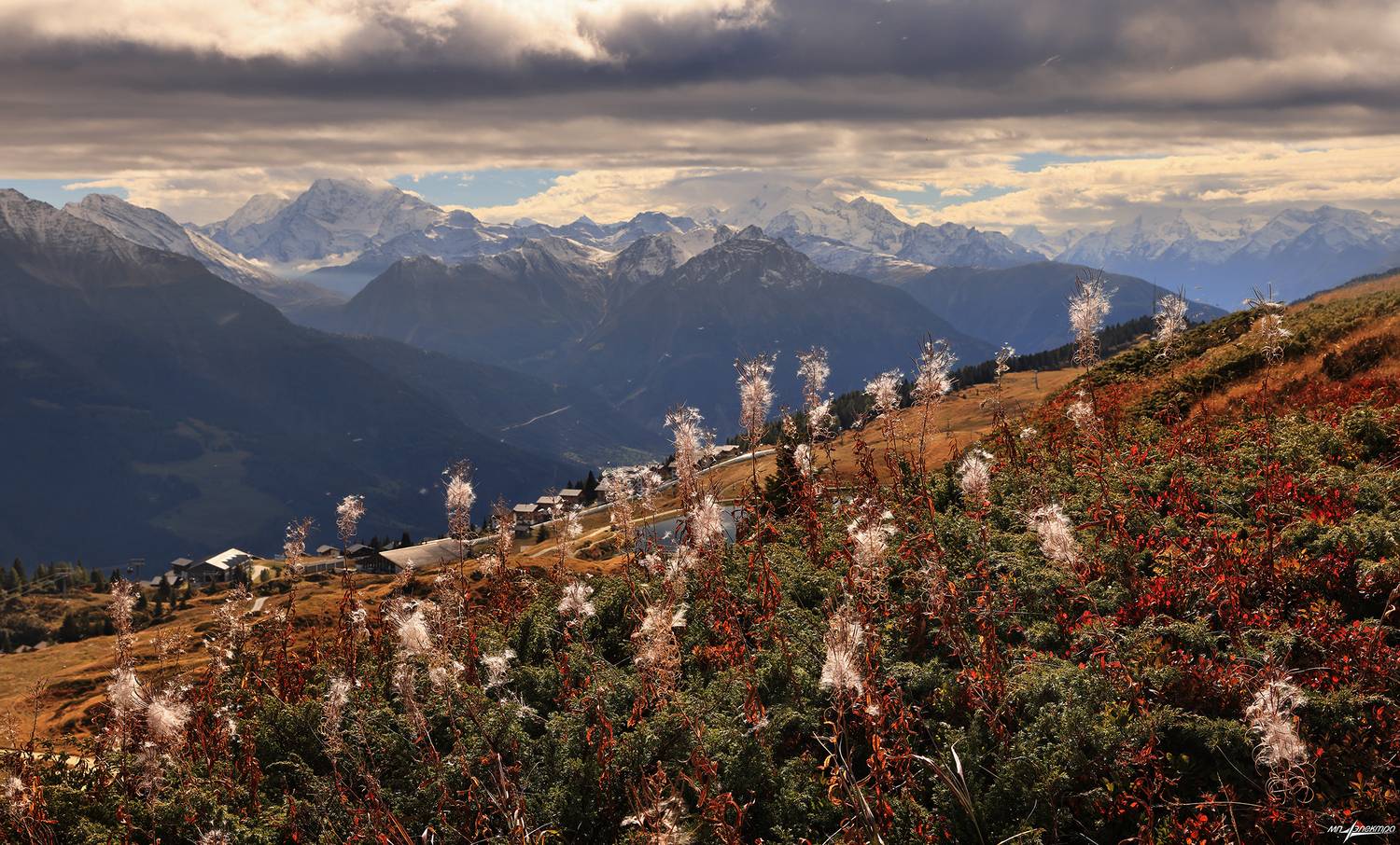 swiss, Матвеев Николай