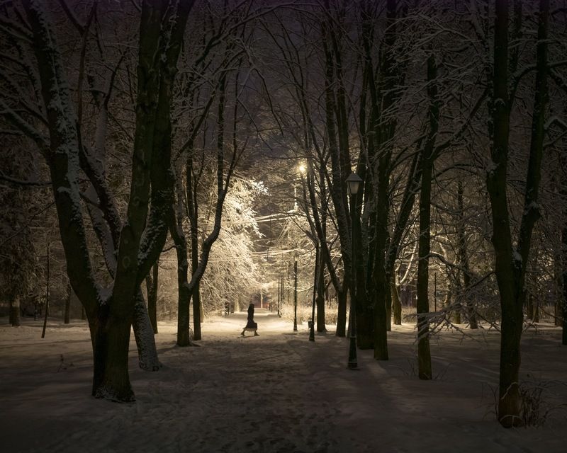 В парке после апрельского снегопадаphoto preview