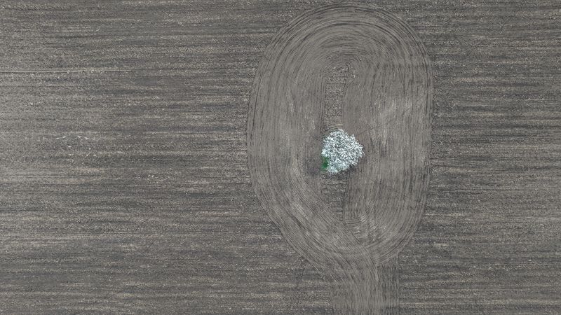 Веснаphoto preview