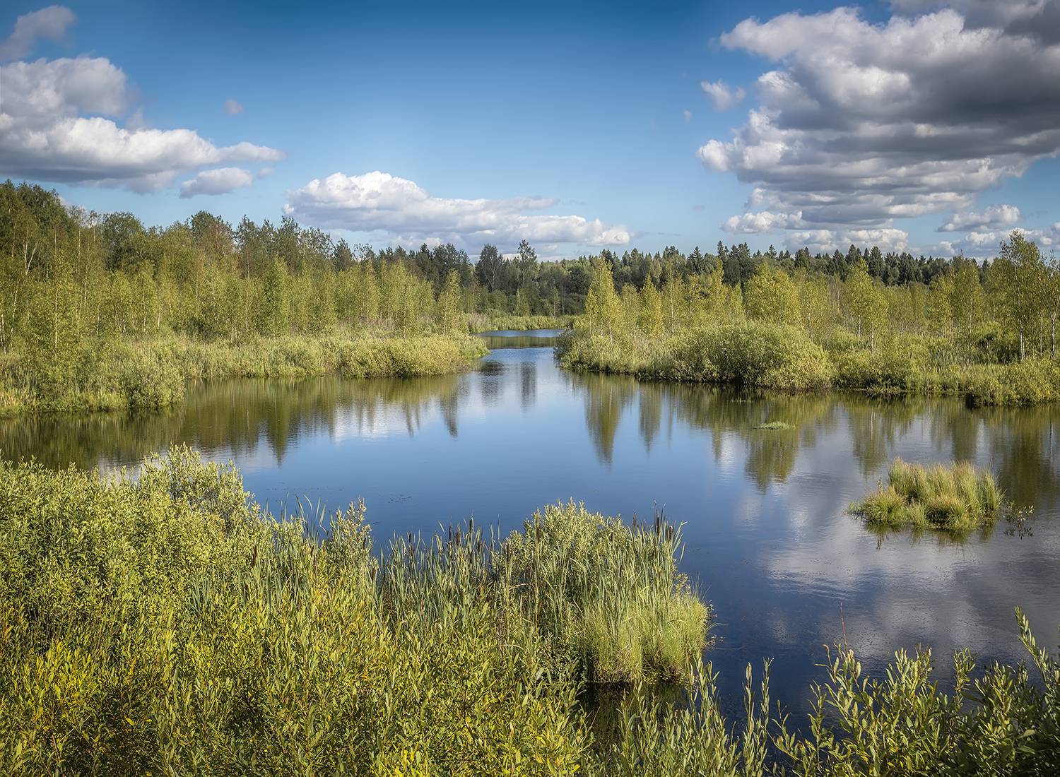 , Сергей Аникин
