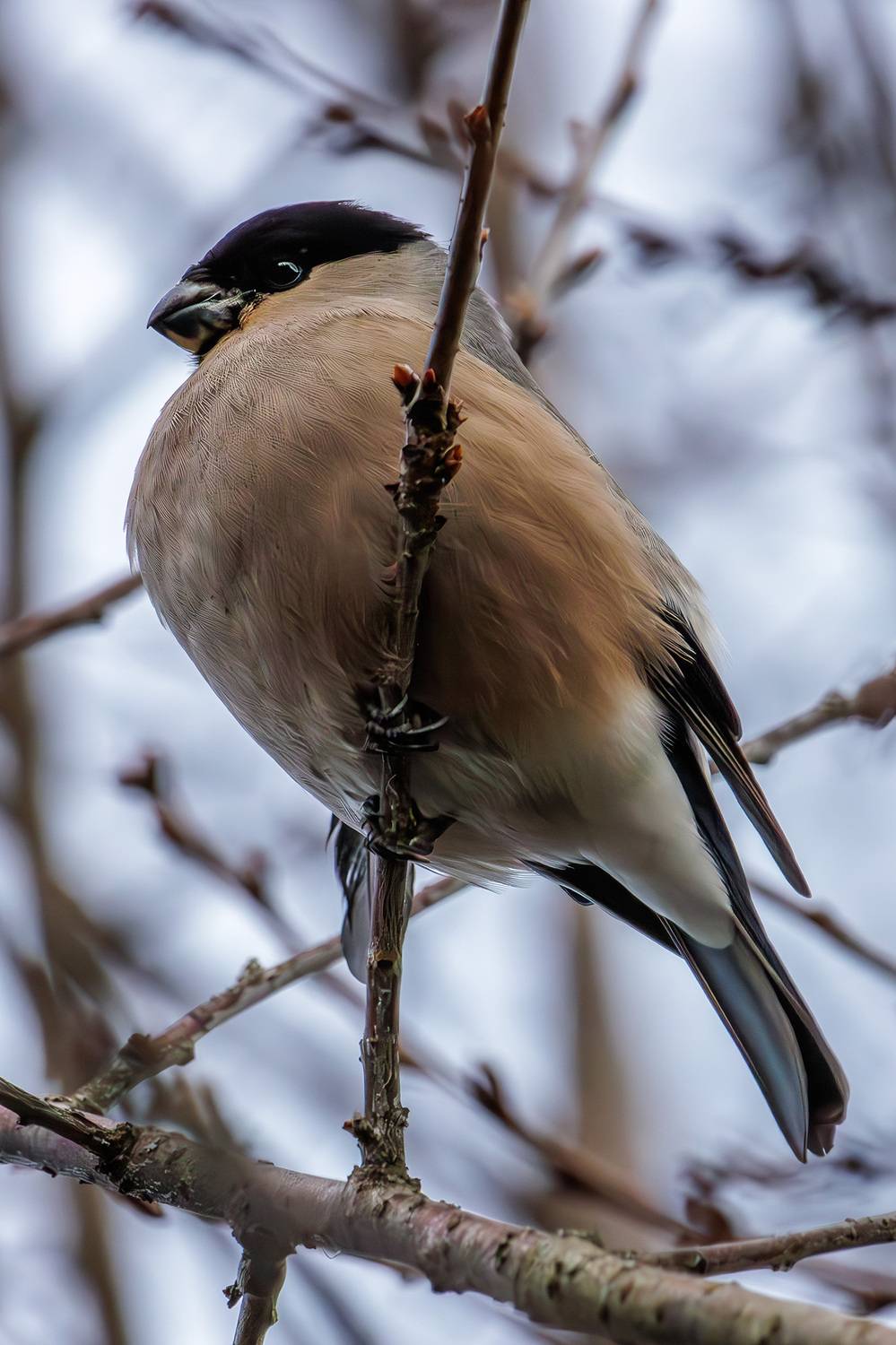 , Морозов Сергей