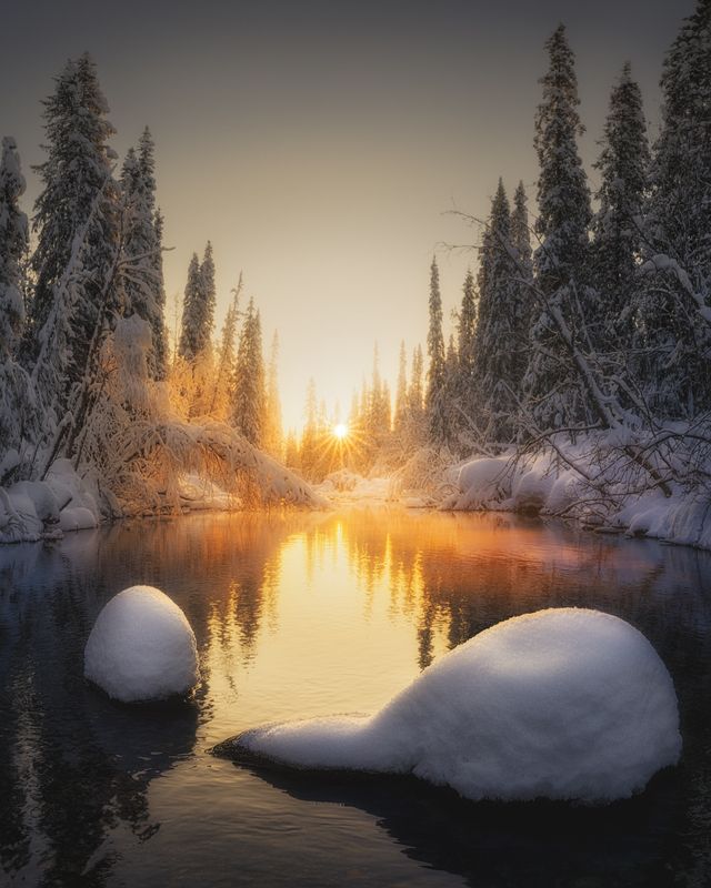 Точка с запятойphoto preview