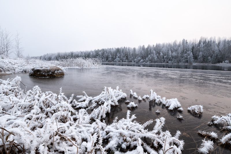 Обозеро приморозилоphoto preview