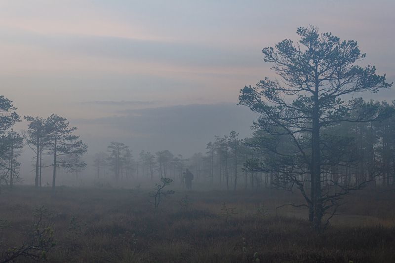Фотограф в туманеphoto preview