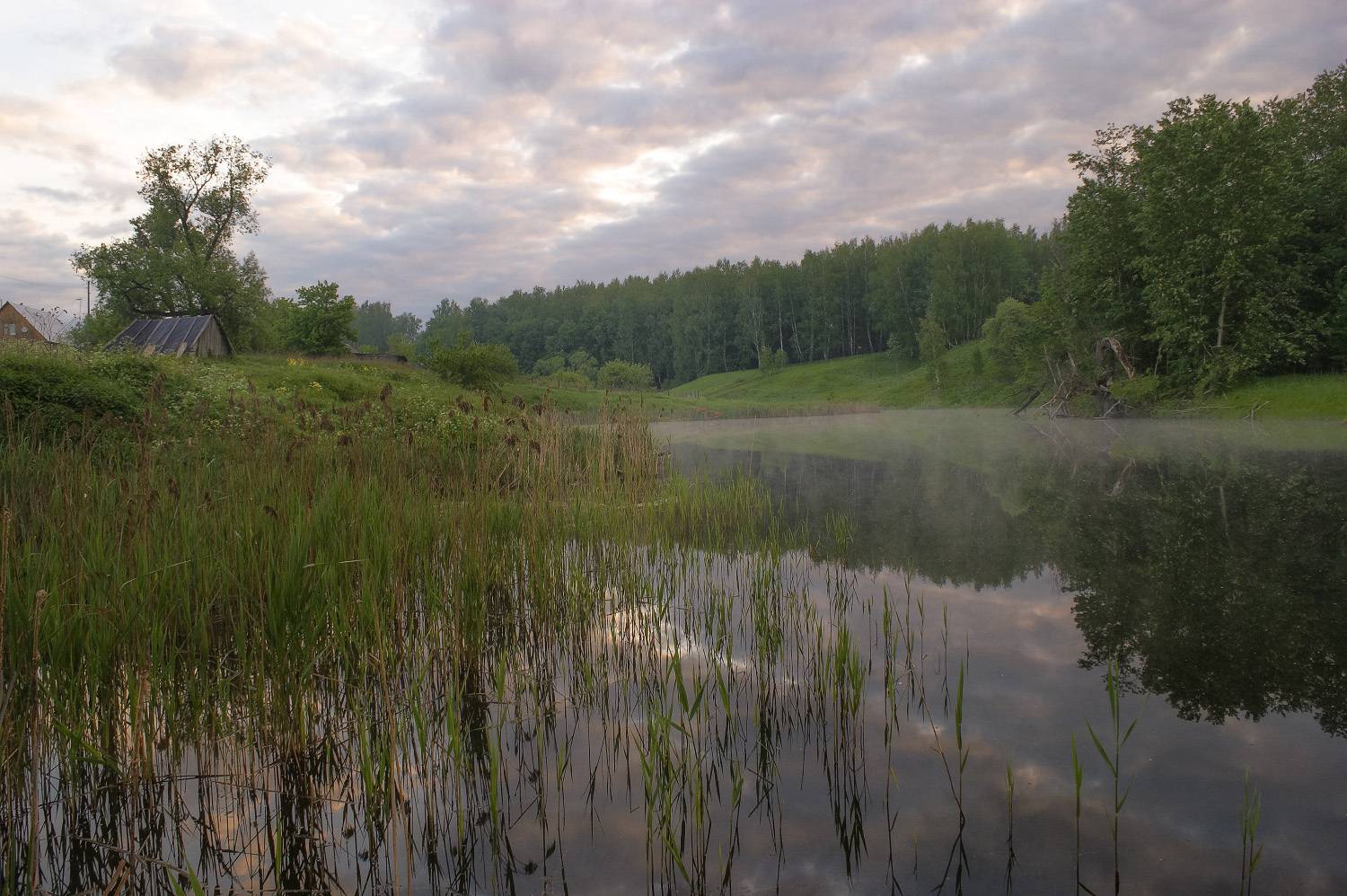туман, пруд, рассвет, Елена Колеснева