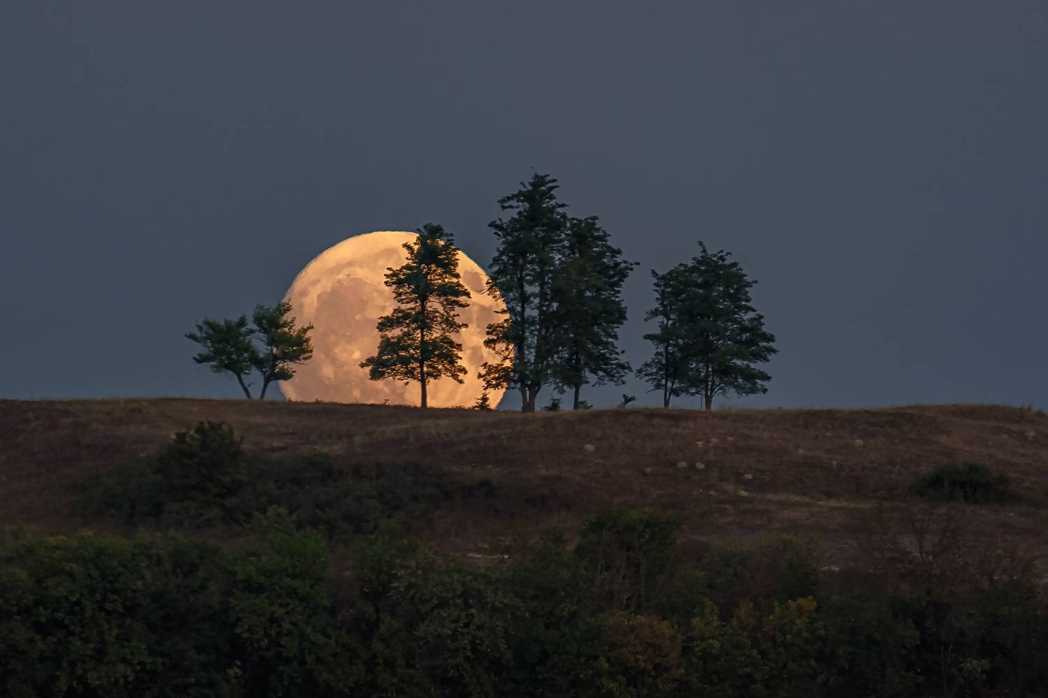 Лунный этюд. Автор: Zakharov Armen кавказ, кмв, кавказские минеральные воды, лунная ночь, полнолуние, fullmoon, луна, 600 мм, Zakharov Armen