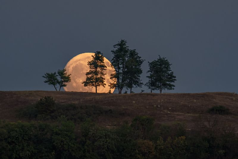 кавказ, кмв, кавказские минеральные воды, лунная ночь, полнолуние, fullmoon, луна, 600 мм Лунный этюдphoto preview