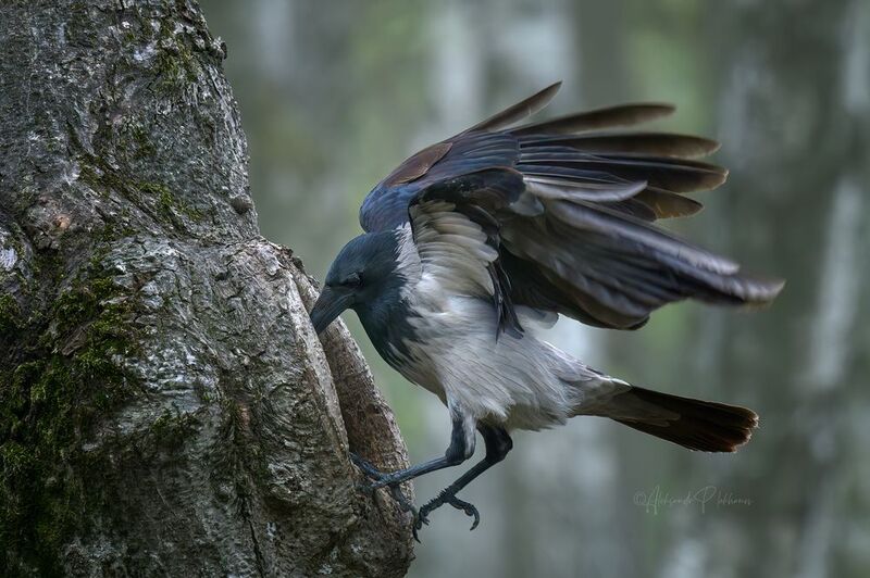 момент Любопытная Варвараphoto preview