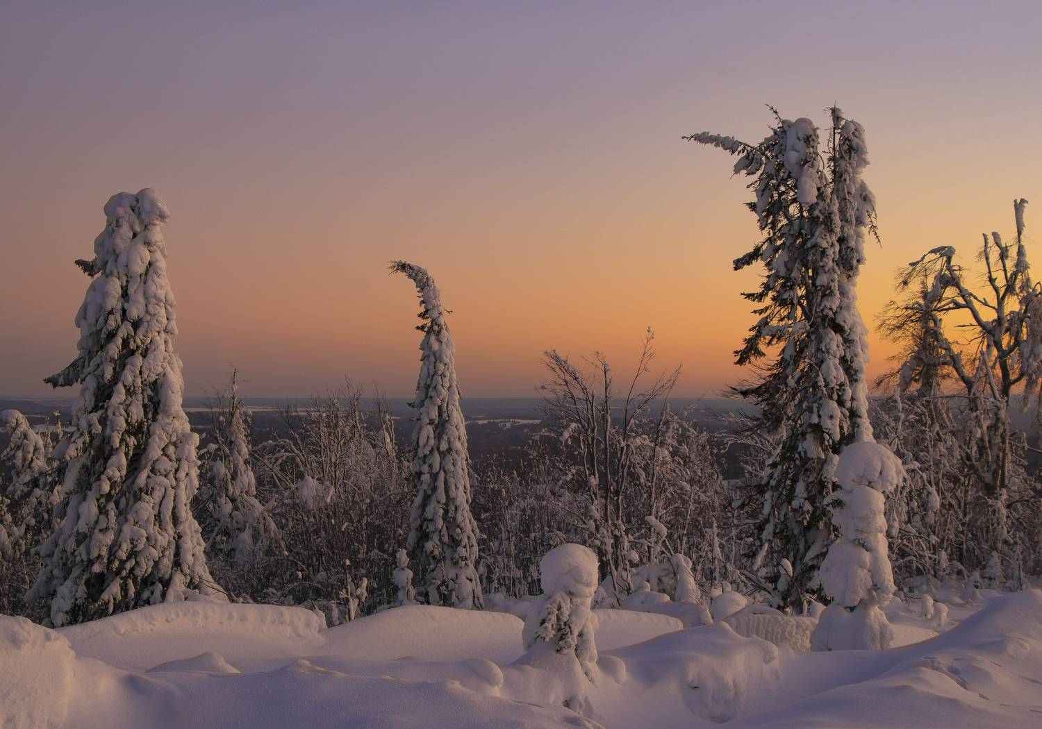 Зимний сон. Автор: галина новинская Белая гора, зима, закат, галина новинская