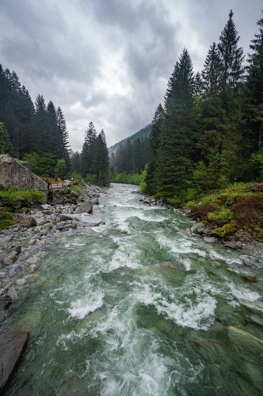 Fiume Sarca de Val Genova, Italyphoto preview
