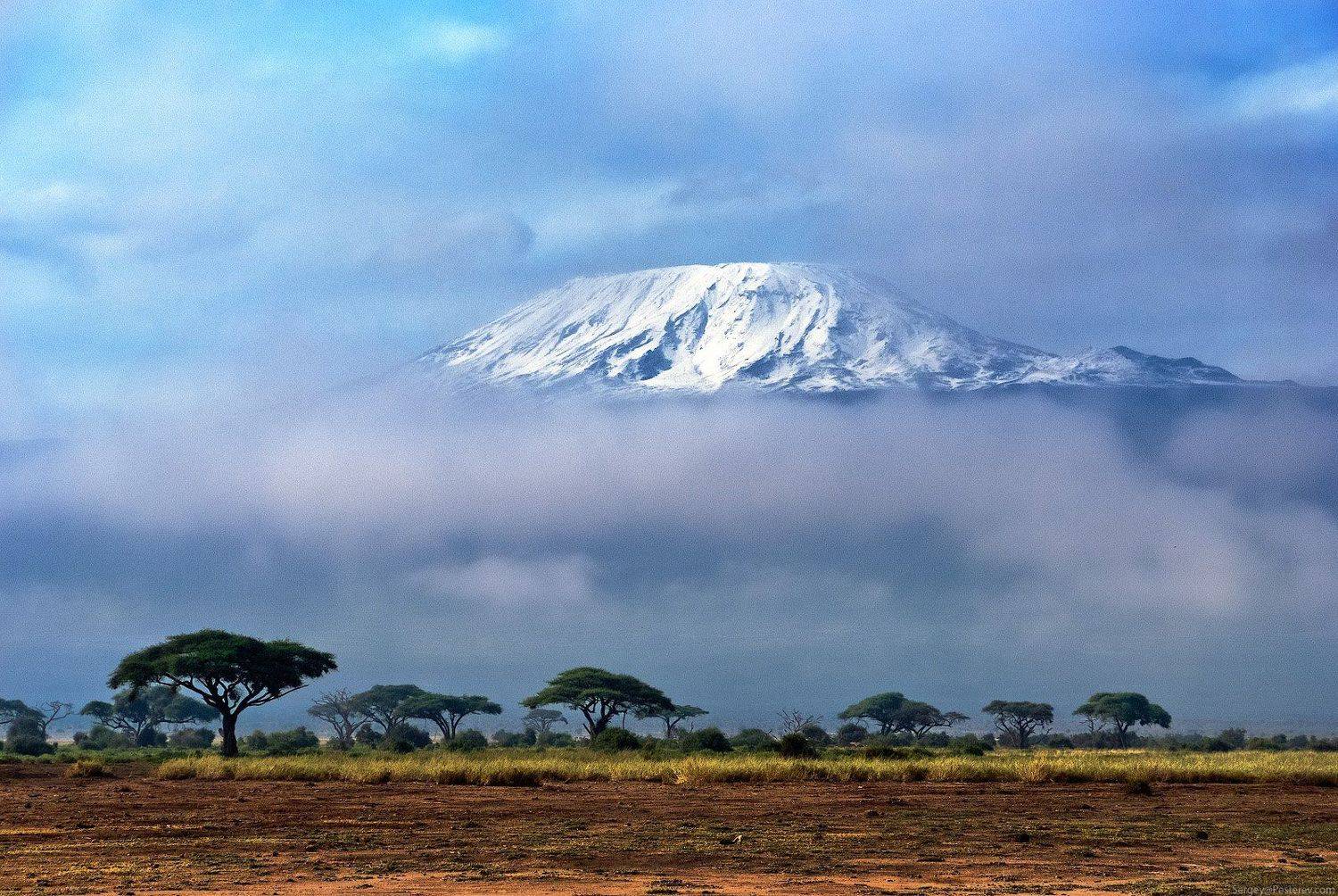 Африка, Кения, Килиманджаро, сафари, пейзаж, Сергей Пестерев