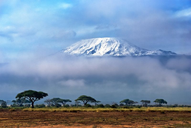 Африка, Кения, Килиманджаро, сафари, пейзаж Снега Килиманджароphoto preview