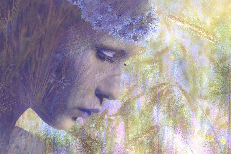 Васельки, Девушка, Колосья, Профиль, Цветы Истоки....photo preview