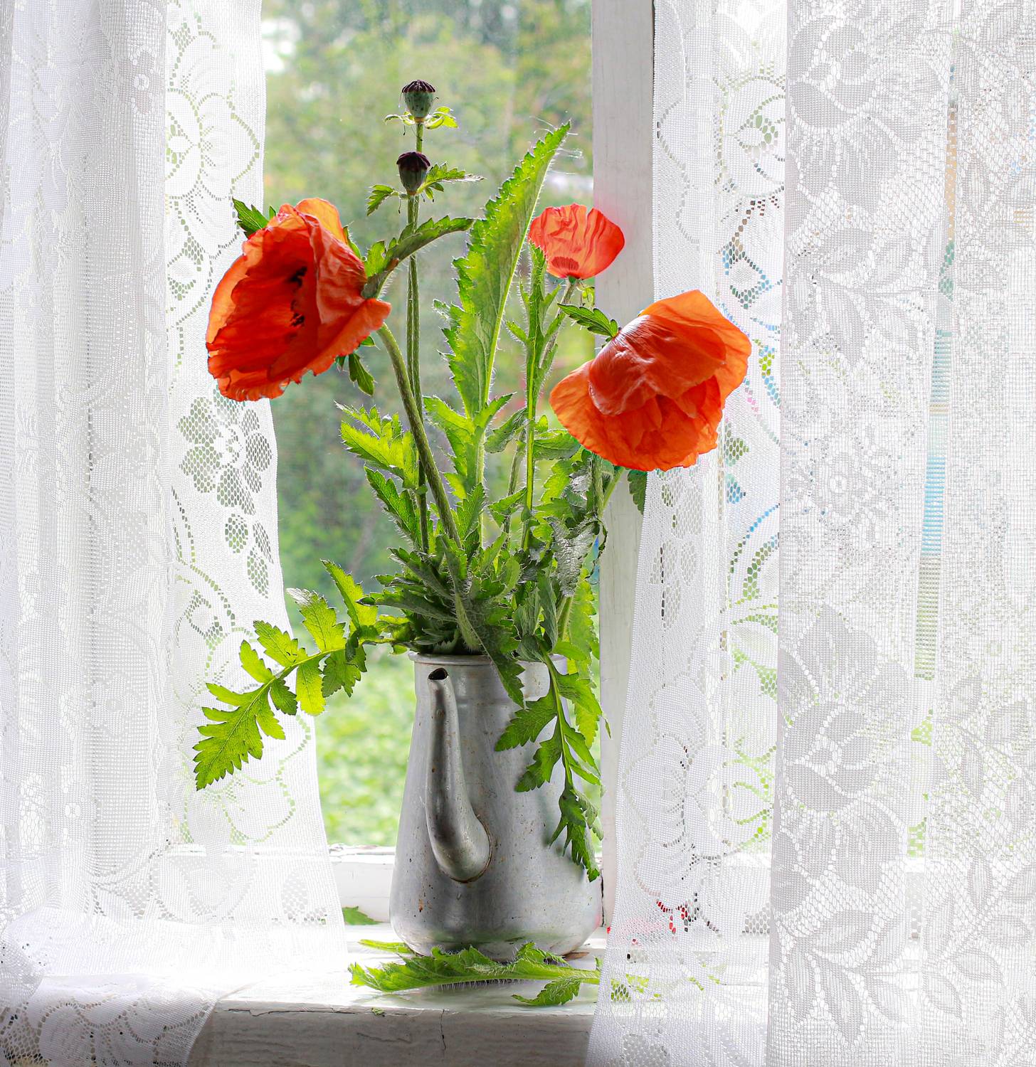 натюрморт, фотонатюрморт, still life, stillifefoto, лето, маки, цветочный_натюрморт, наталья_казанцева, Наталья Казанцева