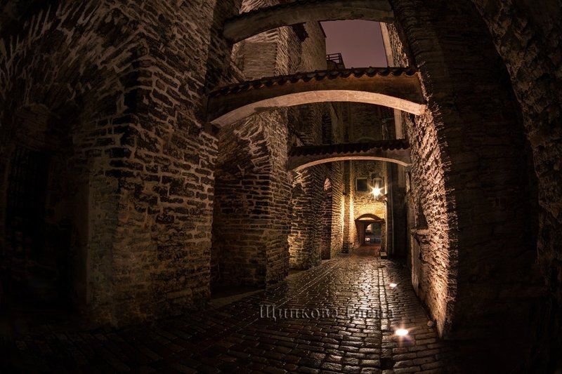 Таллинphoto preview