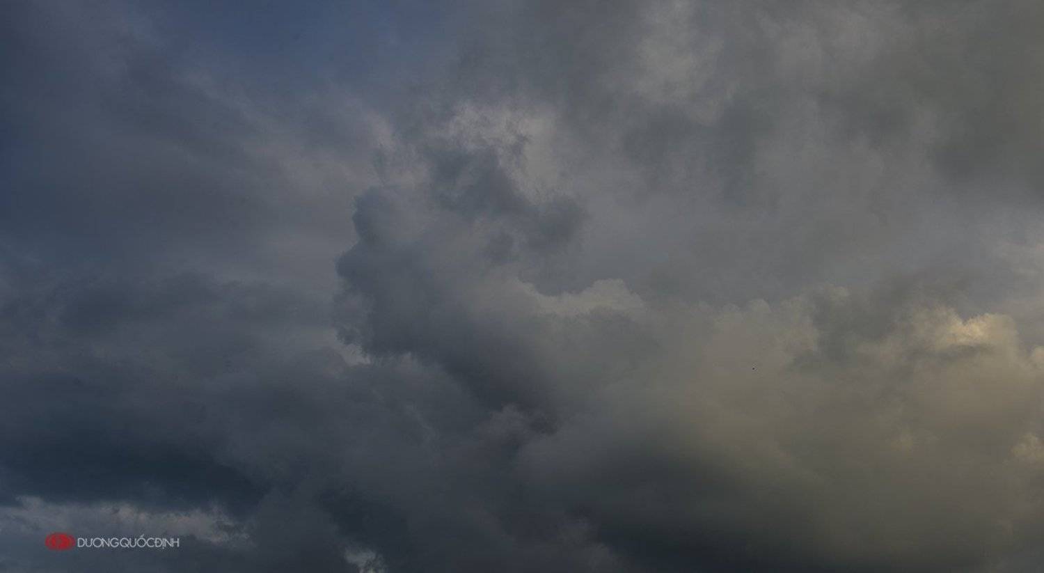 Wordless. Автор: duong quoc dinh , duong quoc dinh