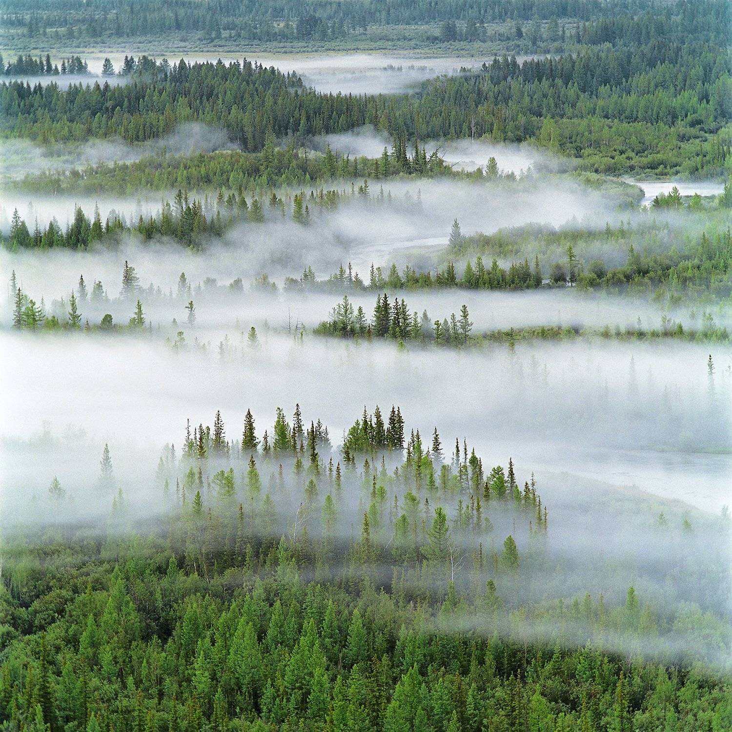 Туманная перспектива. Автор: Павел Филатов altai, siberia, алтай, курай, сибирь, чуя, Павел Филатов
