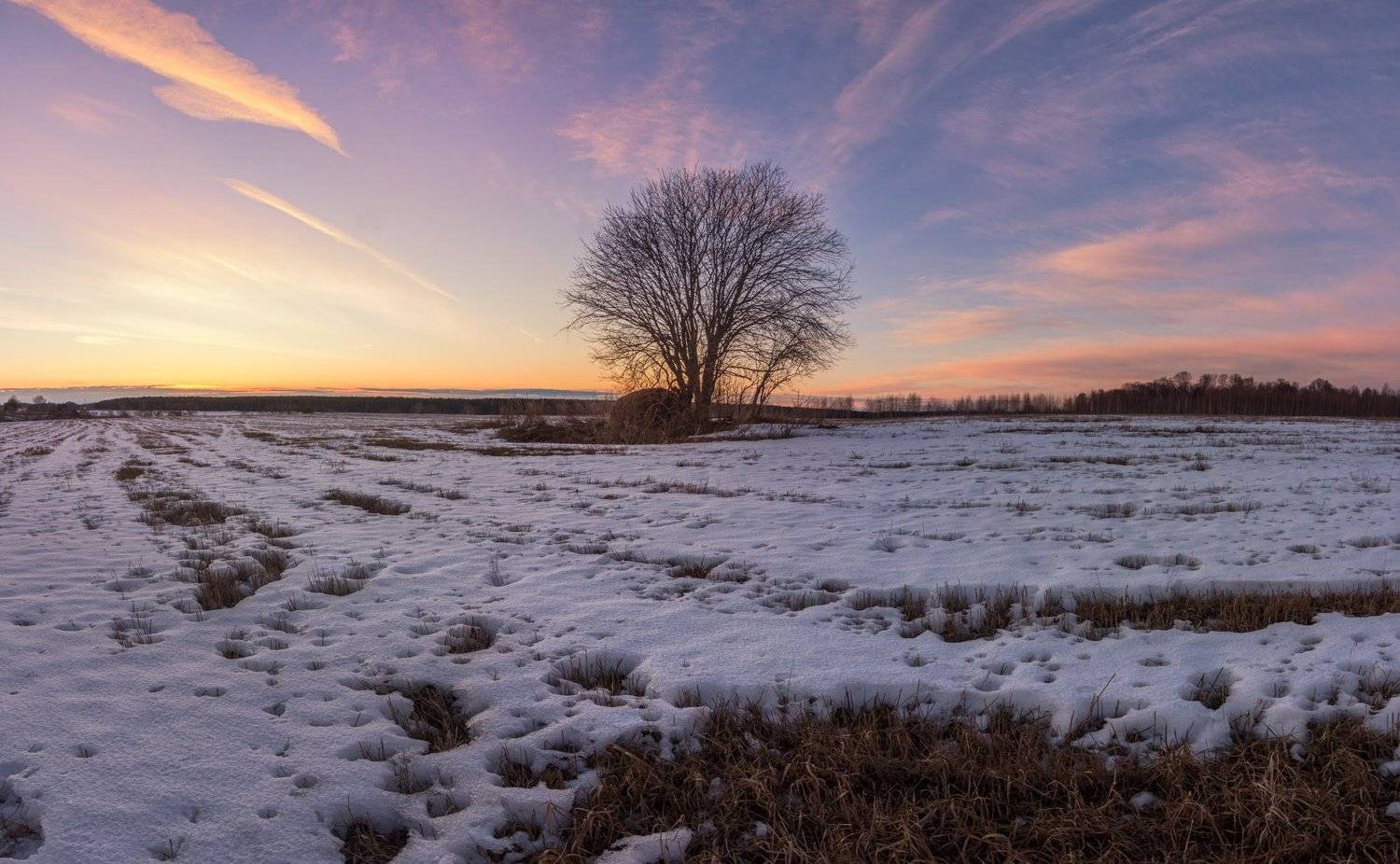 , Курдюков Михаил