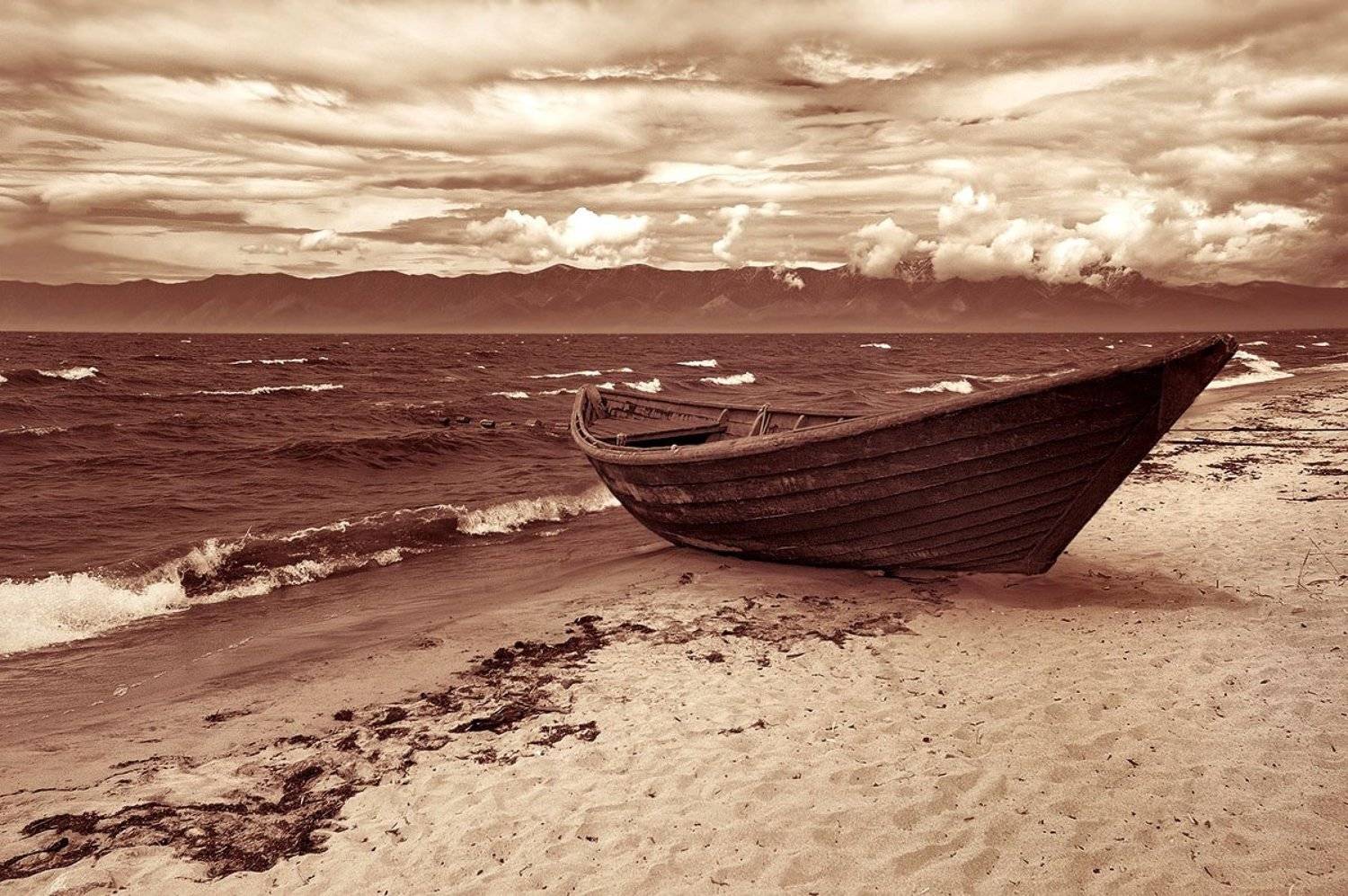 , Матвей Белый