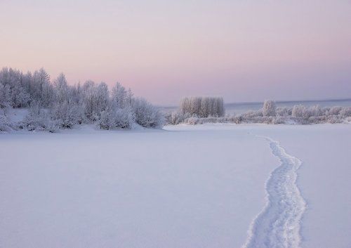 Зимнее пробуждение
