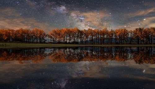 Fantasy Night