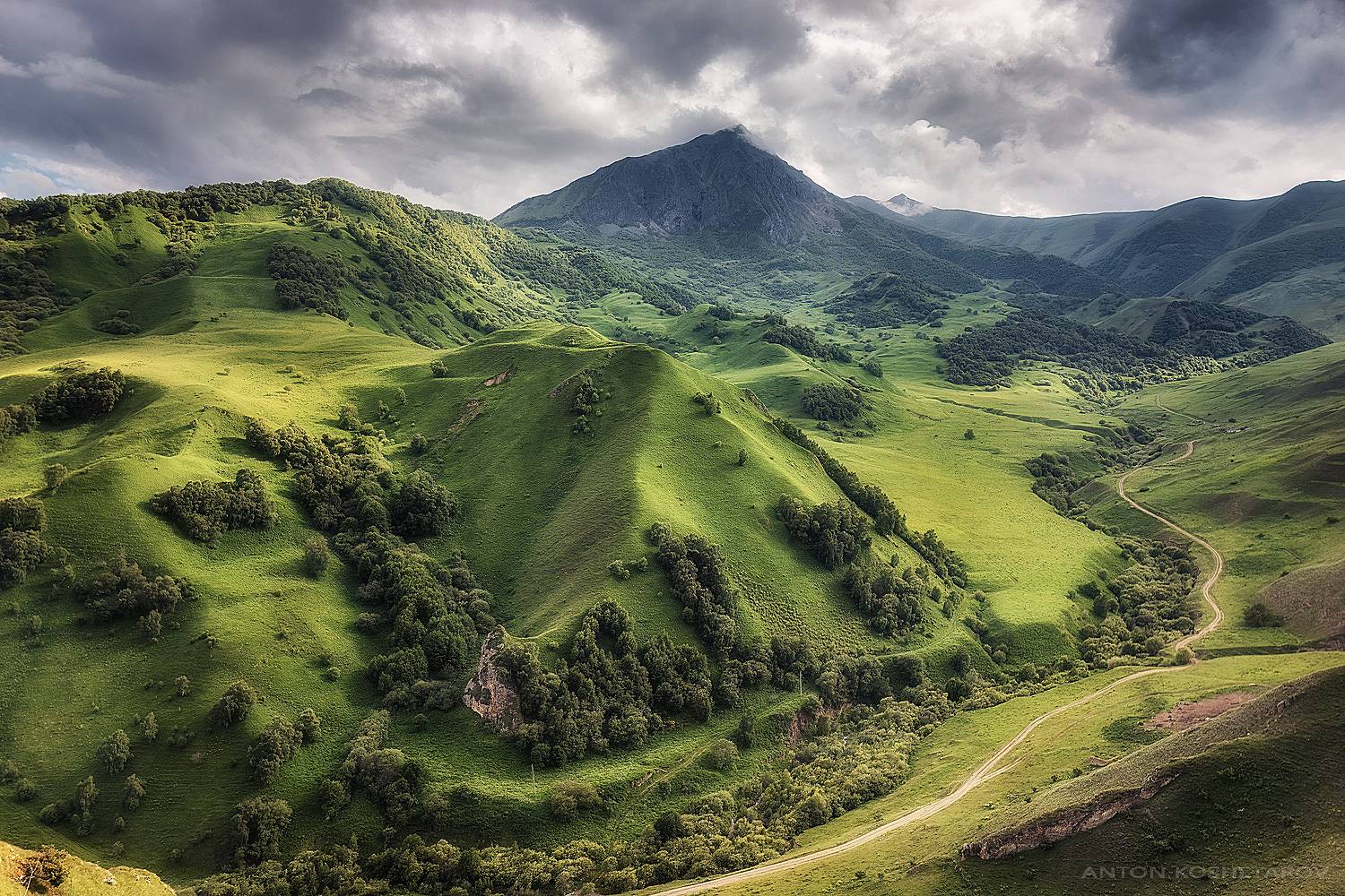 , Антон Кошетаров