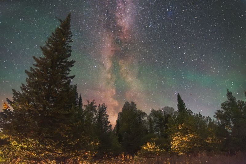 Магия ясной таежной ночиphoto preview