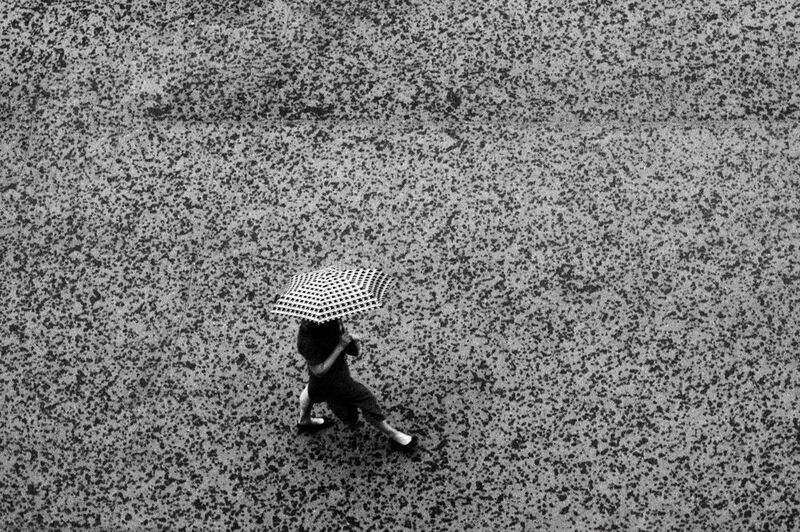 чб, дождь, под зонтом, ливень, черно белое Под дождемphoto preview