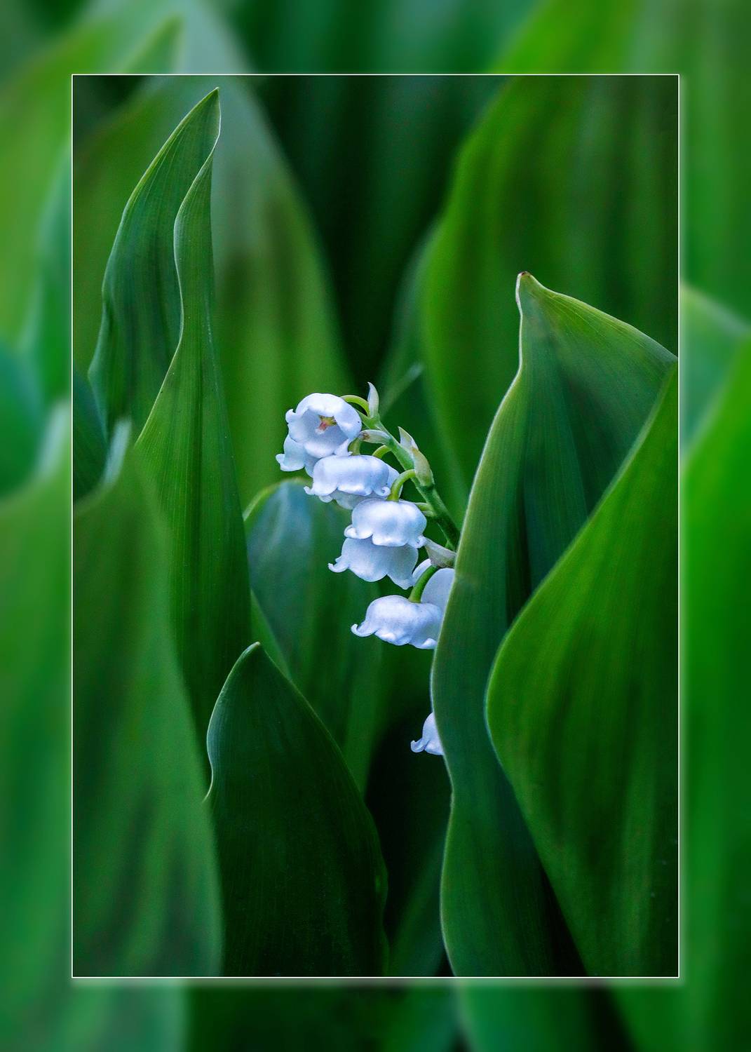 , Ушаков Валерий