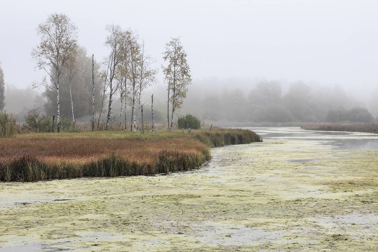 Автор: александр михайлов , александр михайлов