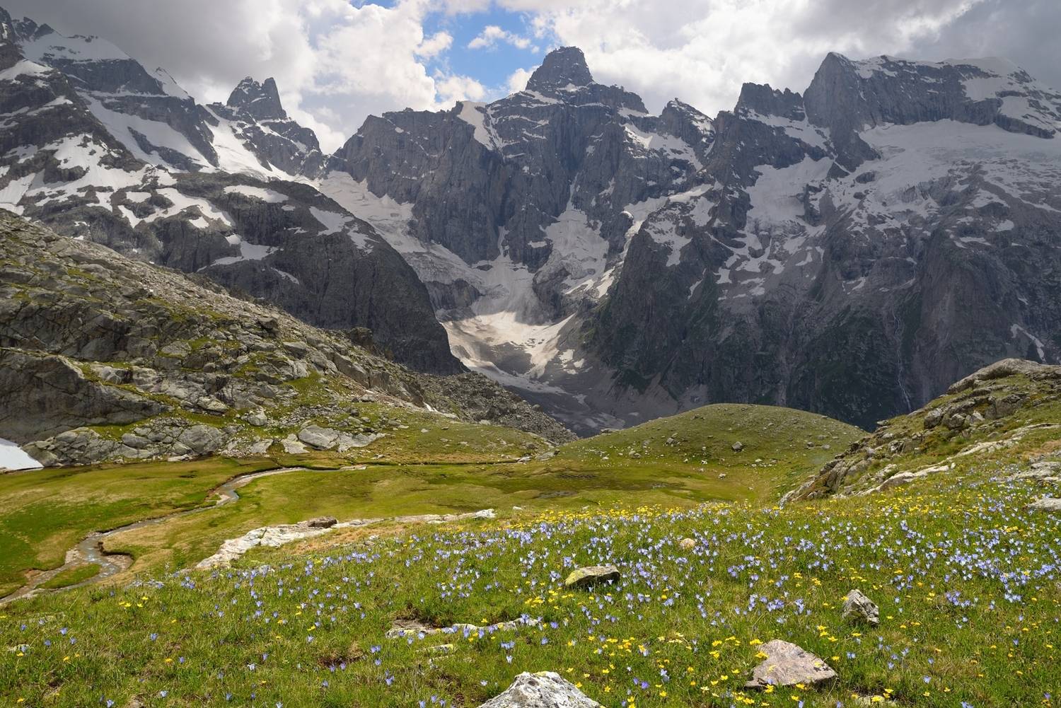 Поляна крокусов,Узункол. Автор: Александр Жарников горы лето кавказ, Александр Жарников