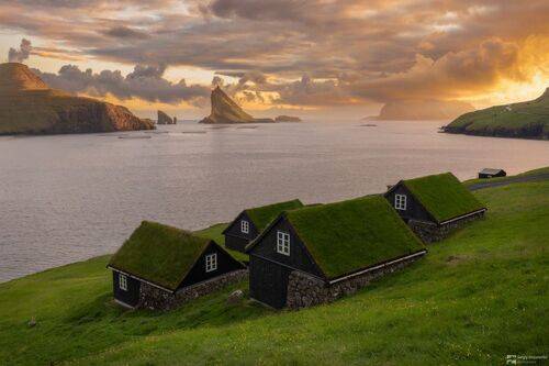 Guardians of the Fjord