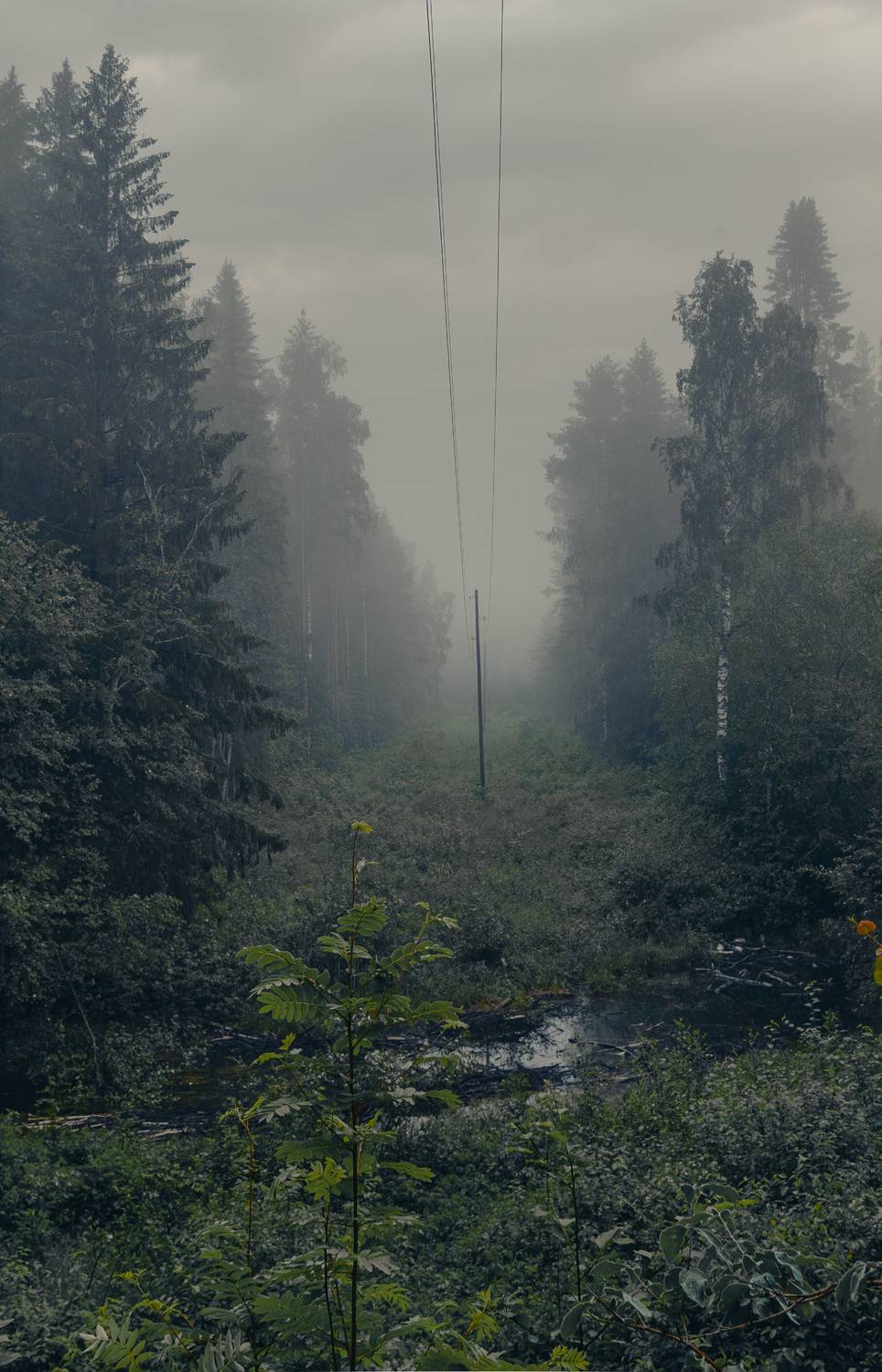 ***. Автор: Кокорин Алексей , Кокорин Алексей