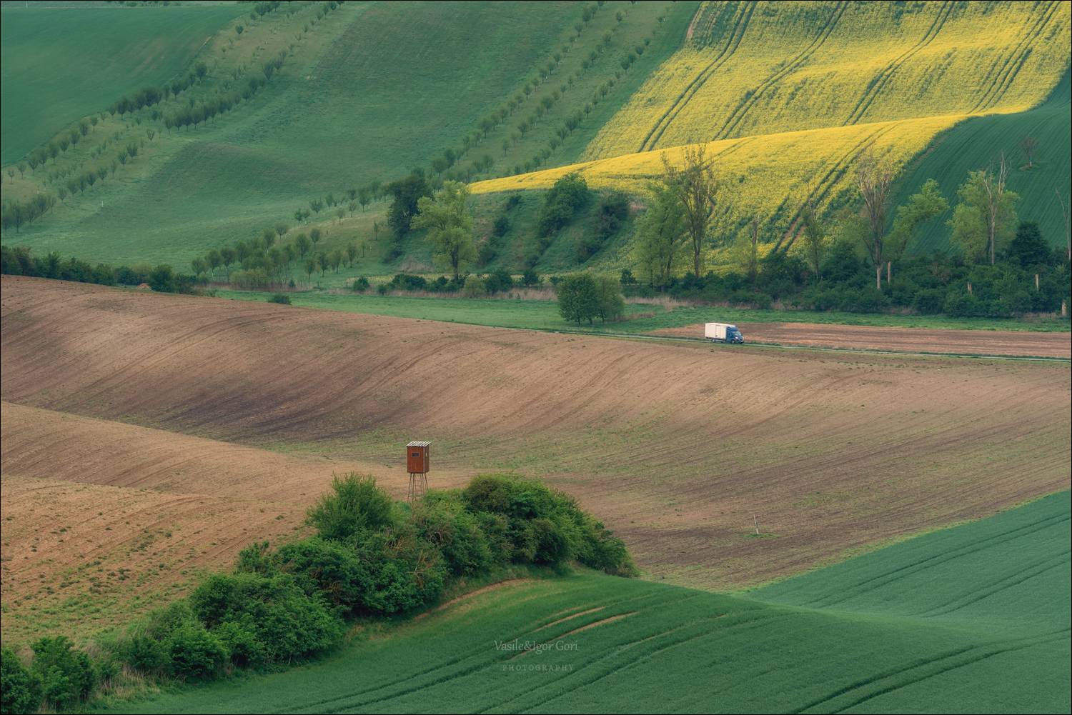 южная моравия,пейзаж,линии,south moravian,lines,свет,czech,весна,чехия,landscapes,green,волнистое поле, Гори Василий