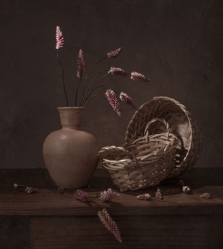 Still life, dry, texture, colors, light Dryphoto preview
