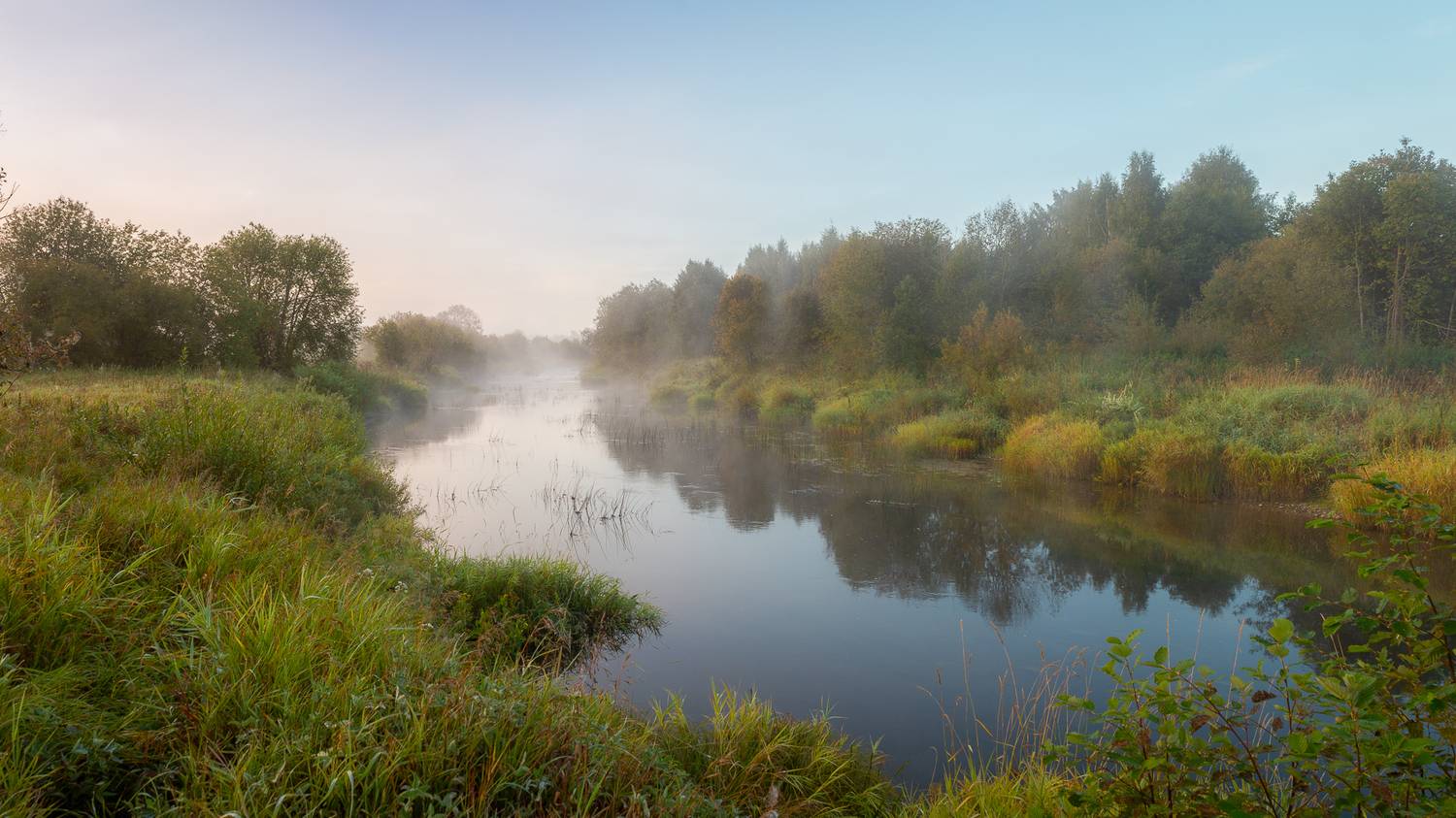 , Комарова Вера