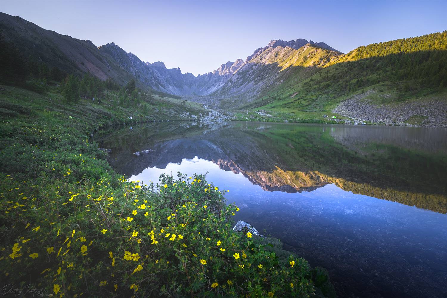 , Портных Дмитрий