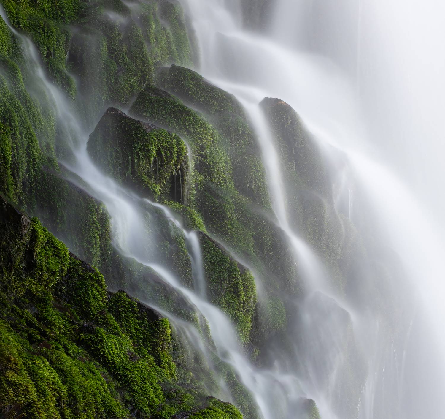 , Михаил Гапонов