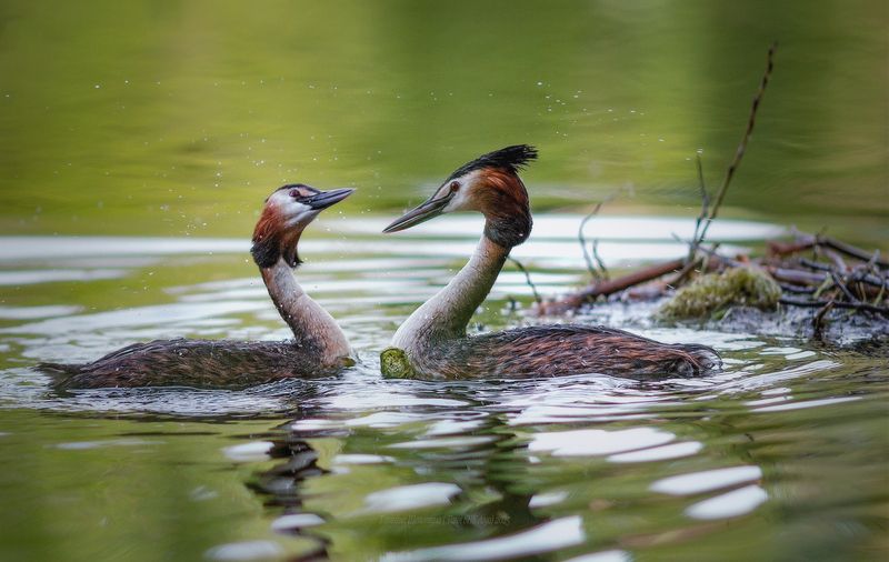 Между делом)photo preview