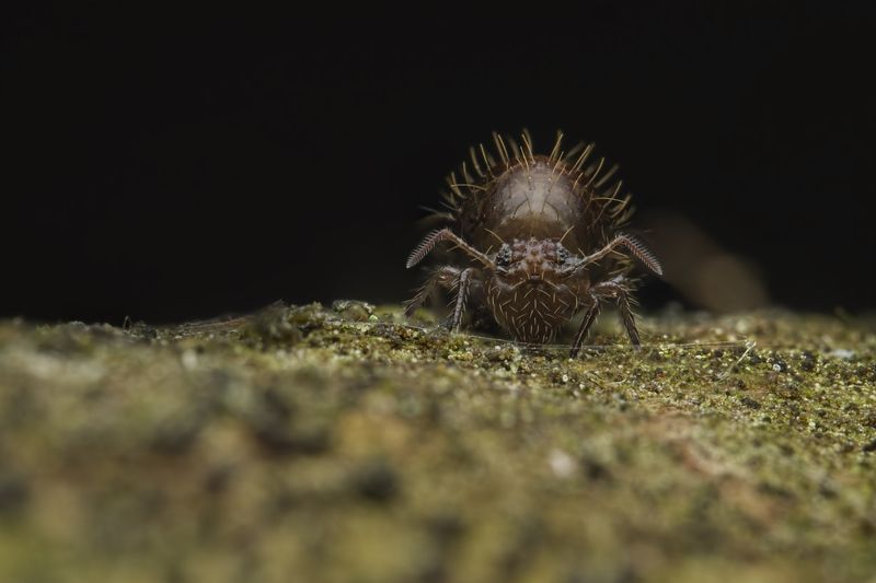 Lonely...photo preview