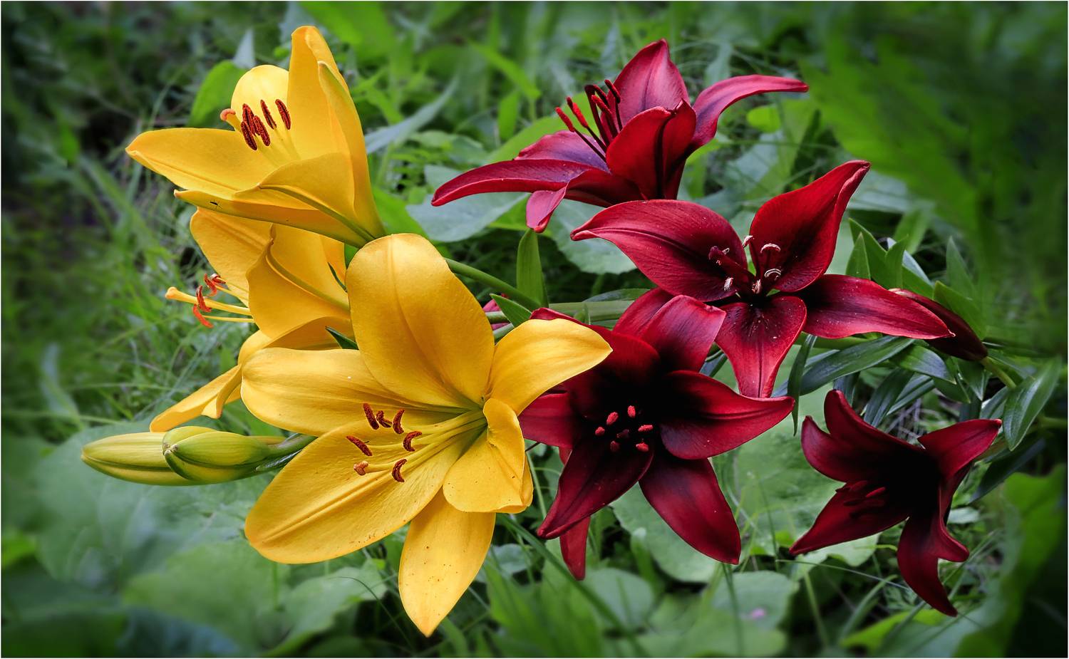 , Ушаков Валерий