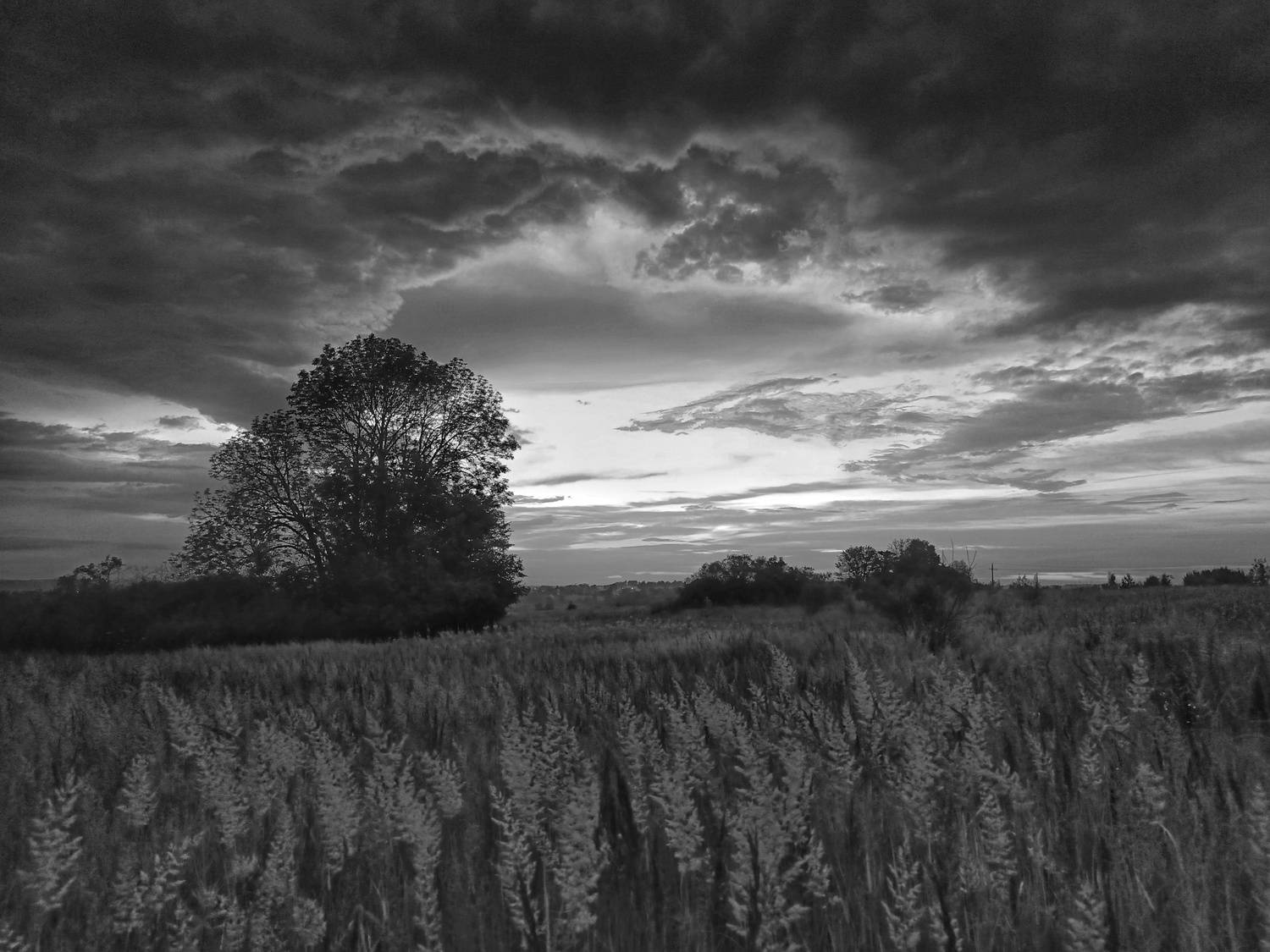 , Кондрашова Светлана