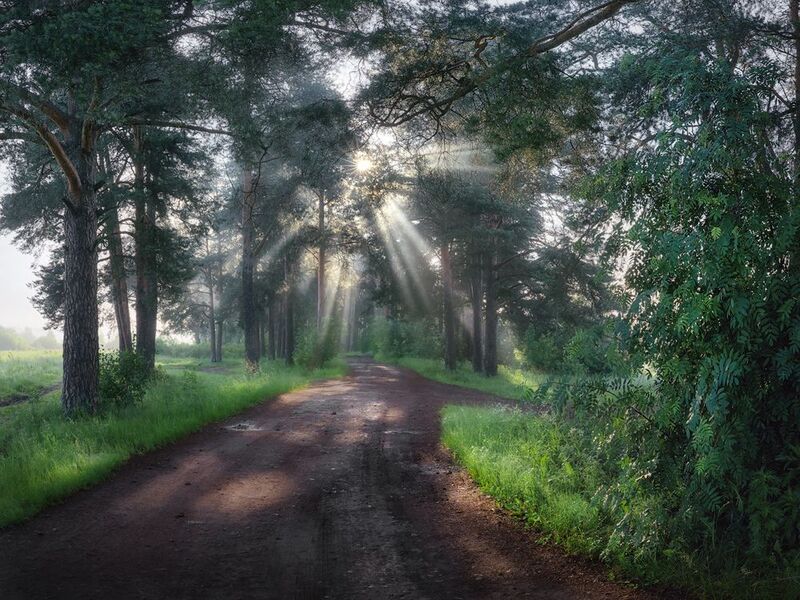 Прогулка по заречному паркуphoto preview