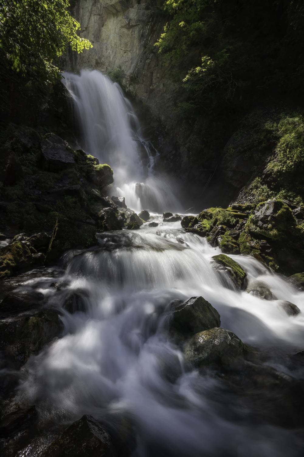 Автор: Михаил Гапонов , Михаил Гапонов