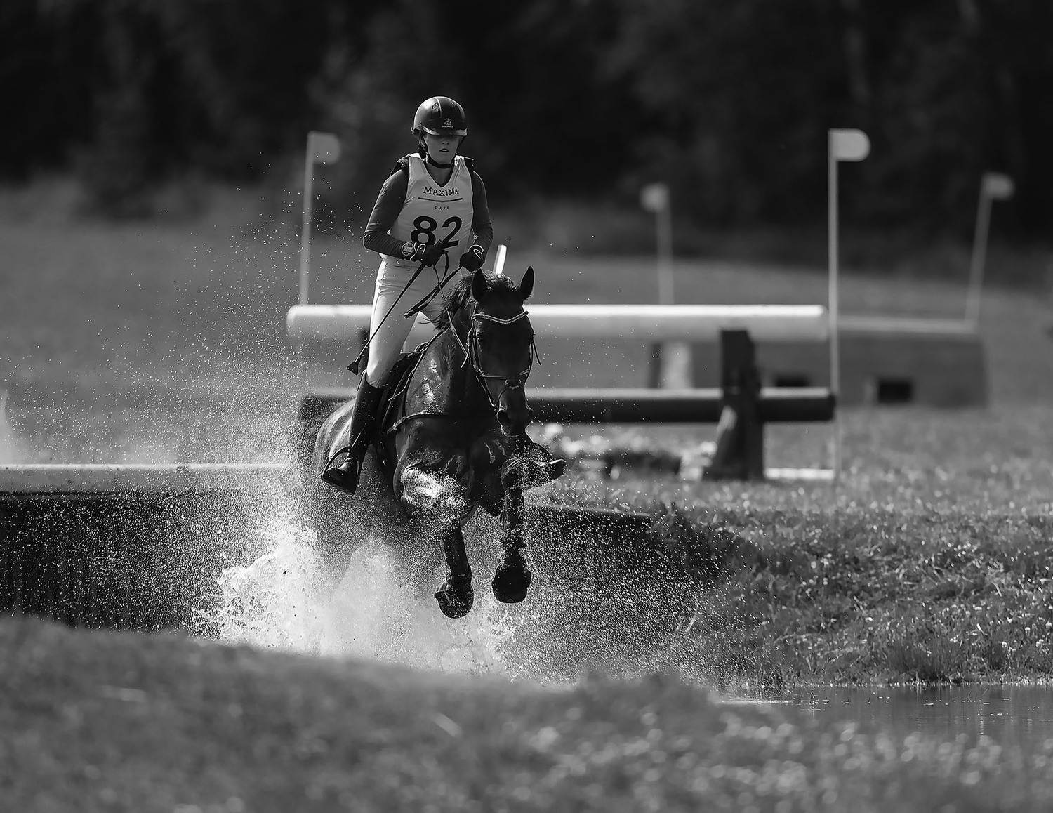 соревнования, спорт, троеборье,competition, horse ,jump, sport, Стукалова Юлия