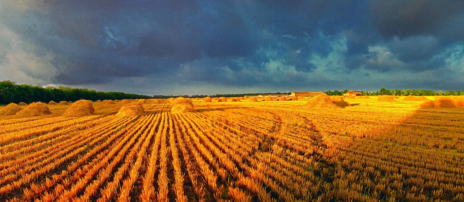 , Андрей Петросян
