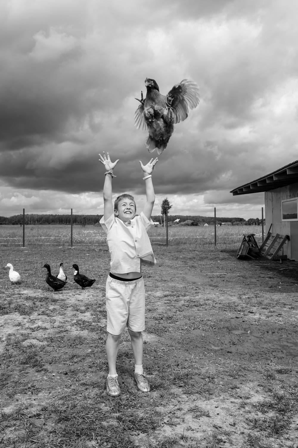 , Александр Шилов