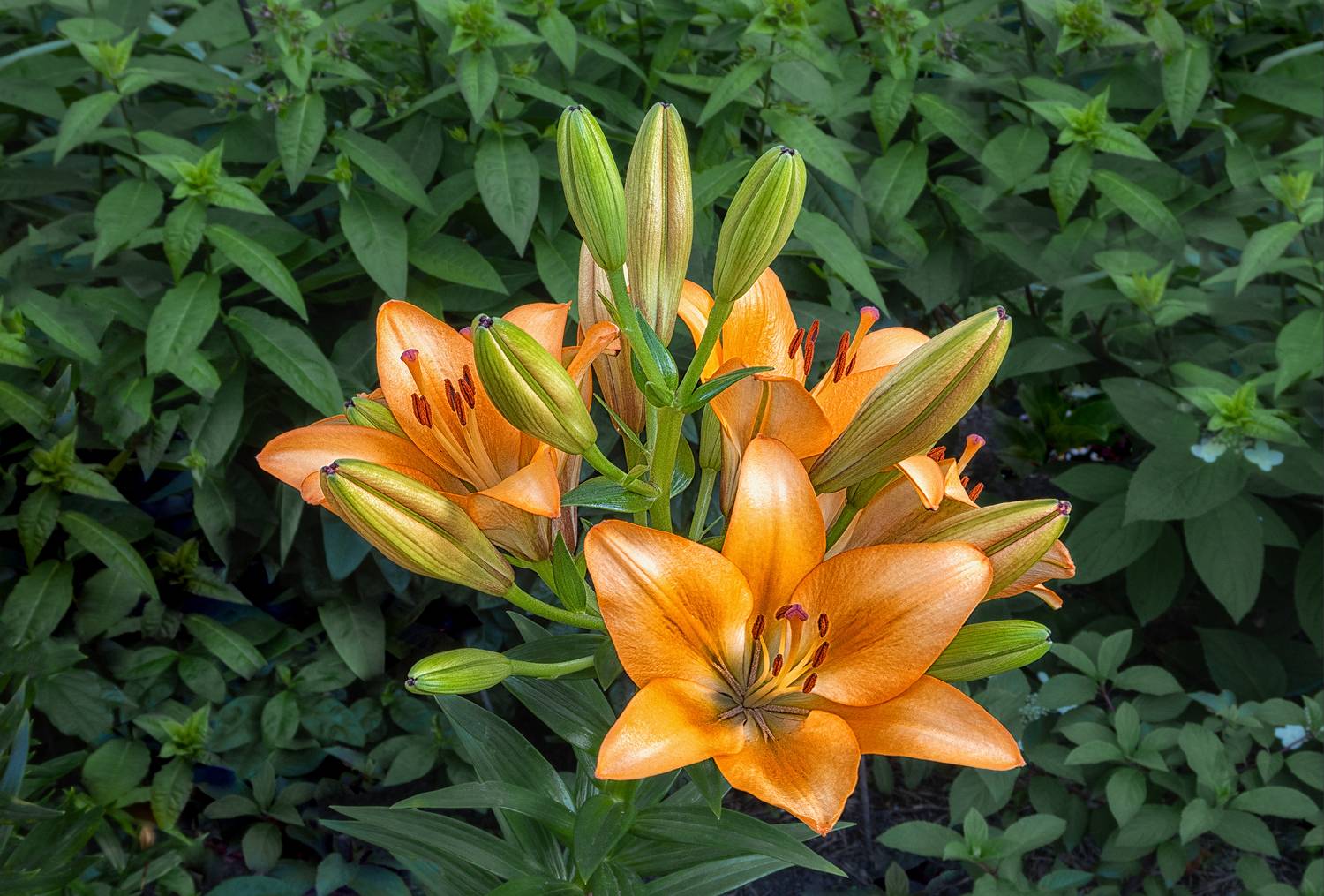 , Ушаков Валерий