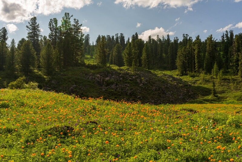 арадан ** *photo preview